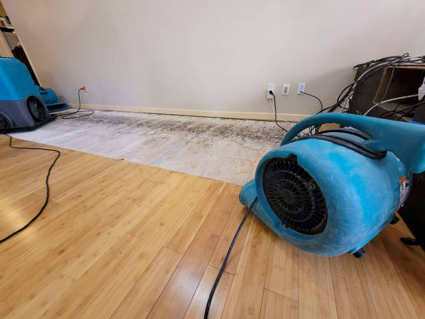 Professional Water Damage Repair technician working in San Bruno, CA